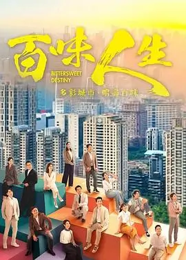 雾港夜航 剧集版封面